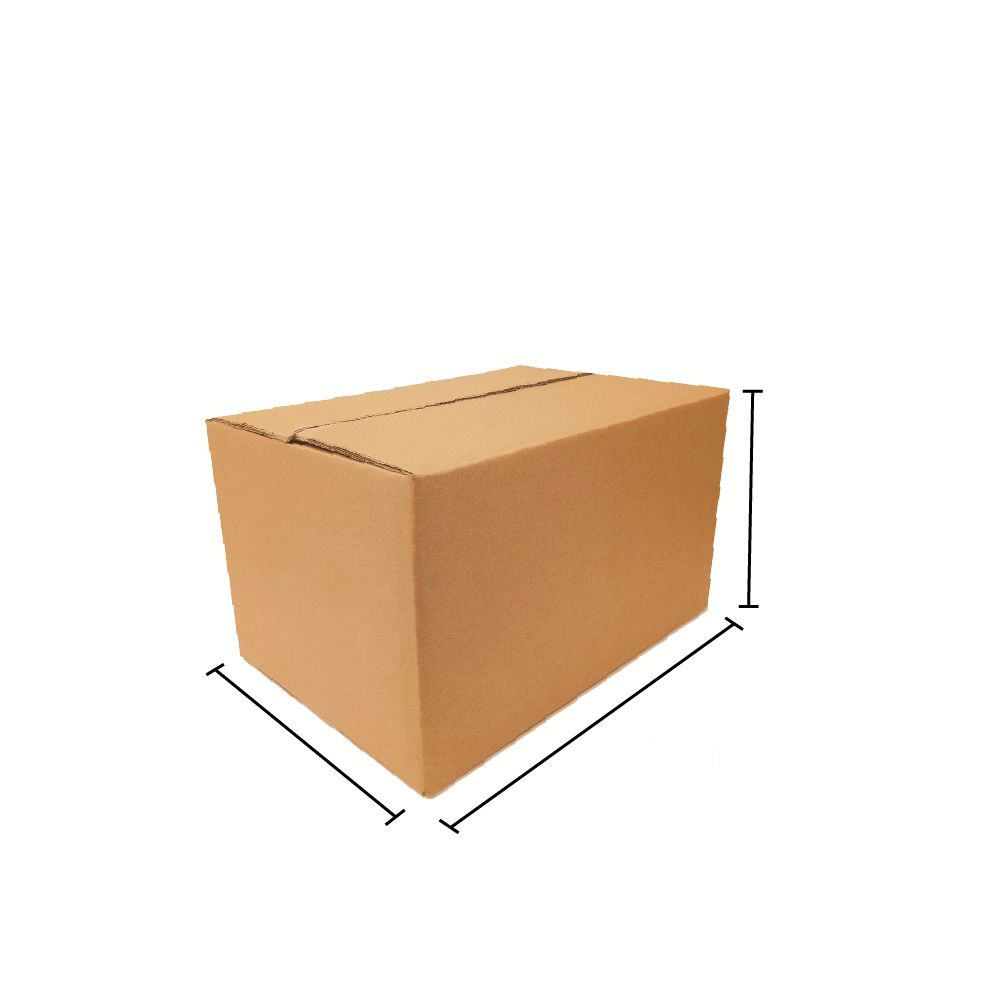 Courier Carton Box